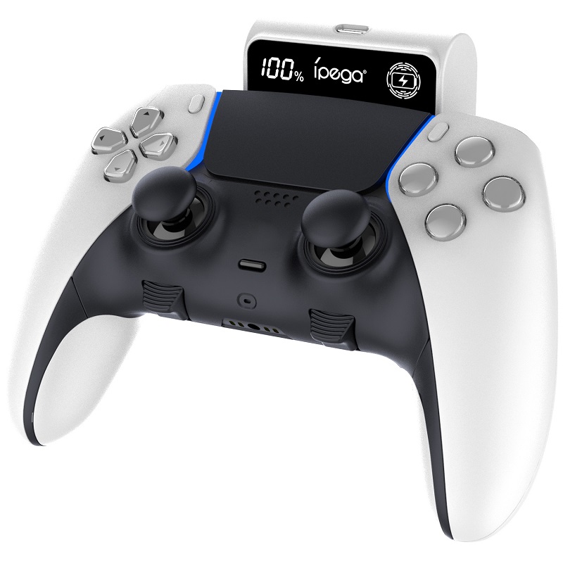 PG-P5060 P5 controller battery pack